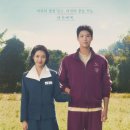 죽곡농장 | 폭삭 속았수다 유채밭 촬영지 고창 학원농장 청보리밭 유채밭