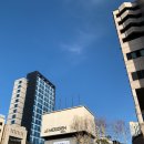 210105 | 210105 미켈란젤로 특별전 후기