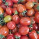 두무농장 이미지