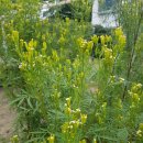 한림정역 이미지