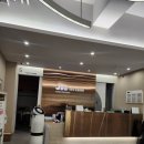 작은 친구 동물병원 | 부산 반려동물 전문 안과 지동범 동물병원 예약없이 오픈런 후기