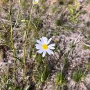 골드리버cc | 노캐디 2인 골프장 충청도 공주 골드리버CC 야간 라운딩 후기