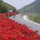 순천만여행 이미지