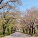 순복음교회 개방화장실 이미지