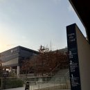 광주 브런치카페 [브룩빌즈] 잠봉루꼴라샌드위치 먹고 옴
