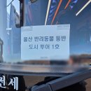 댕댕이버스 | 🐾 2025 울산 멍도시 탐험대: 반려견과 함께하는 특별한 시티투어 버스 여행!