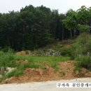 참다운부동산공인중개사사무소 이미지