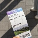 그늘막98 | 공주 석장리 박물관 벚꽃 출사 나들이 명소 추천