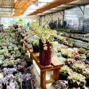 살구미농장 이미지