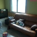 도림사계곡펜션 이미지