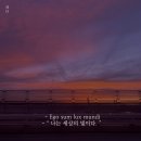 문디숨(Sum) 브런치