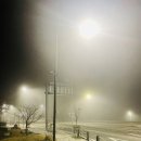 Misty 이미지