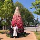 담양관광정보센터 이미지