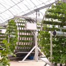 중평농장 이미지