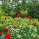 우석농장 이미지