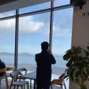 [당진맛집] 삽교호 수산시장🦀 &amp; 해어름카페☕️ 후기 (feat. 킹크랩)