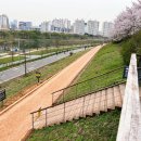 양평교 화장실 이미지