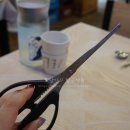 동해안붉은대게무한리필역곡점 | 역곡역 맛집, 역곡 대게@동해안 붉은 대게 무한리필 / 가격 부담 없이 홍게 먹기