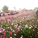 동국대학교사범대학부속영석고등학교 이미지