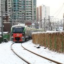 H2151 티스토리