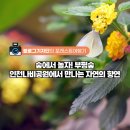 부평숲인천나비공원 | &lt;#포레스트여행기&gt; 숲에서 놀자! 부평숲 인천나비공원에서 만나는 자연의 향연