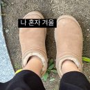 낙엽 밟는 소리와 함께하는 산책의 기록