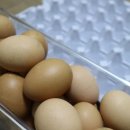 박용수농장 이미지