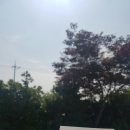 삼성떡집 - 5461 | 삼성떡집
