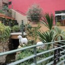 유니스의정원 이미지