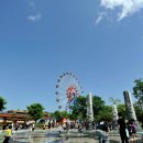 곡성세계장미축제장 이미지