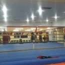 강릉복싱체육관 이미지