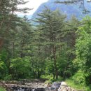 도원운학로 이미지