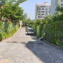 무룡초등학교 이미지