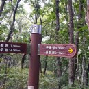 흥정계곡캠핑700 이미지