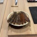 신생상회 | [대전/유성구] 스시해로 | 노잼도시? 곧 스시의 도시가 될 곳