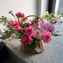 법원로3길 23 이미지