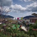 충주시립옹달샘어린이집 이미지