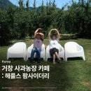 함박농장 | 거창 사과농장 카페 양조장 '해플스 팜 사이더리'