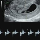 조혜진여성의원 이미지
