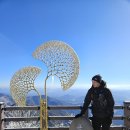 문산주유소 | 1일 2산 가능한 경기 등산코스: 유명산~용문산 연계산행 후기