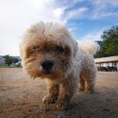 플레이샵 이미지