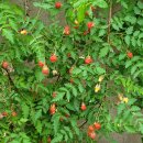 초원어린이집 이미지