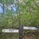 [남양주/예봉산] 팔당역 - 정상 원점회귀