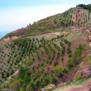 흥부골자연휴양림 이미지