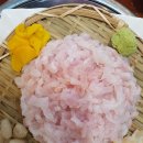 남해바다장어 이미지