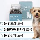 수한가 | 강아지 루테인 눈 영양제 추천 닥터바이 아이즈 70개입 분석(강아지 눈물자국 냄새 관리)