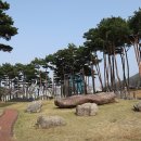 뿌리광장 이미지