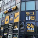 도그마캣영종도운서점