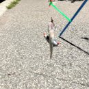 만조PC방 이미지