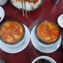 돌고래식당 이미지